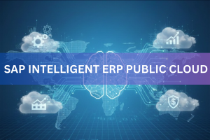 SAP Intelligent ERP Public Cloud
