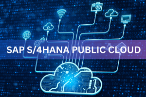 SAP S4HANA Public Cloud